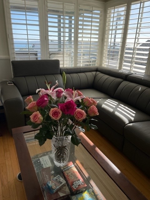 Photo - 277 Diamond St