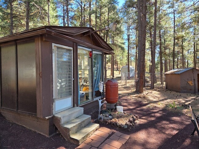 Photo - Unique Dome-Shaped Studio Surrounded by Ponderosa Pines