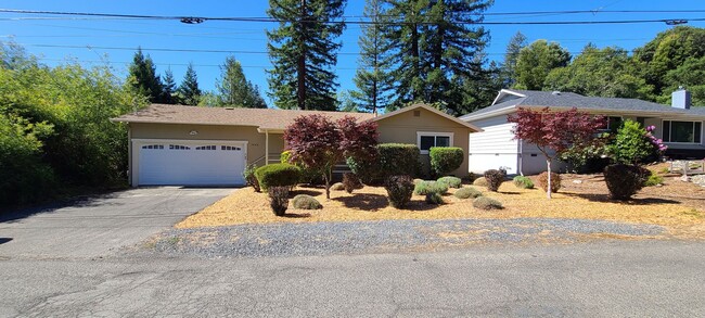 Walking Distance to Downtown Sebastopol - Walking Distance to Downtown Sebastopol House