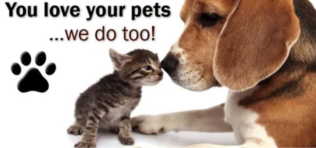 Photo - 5107 S Clarice Ct