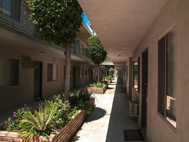 Courtyard - Chevy Chase Terrace