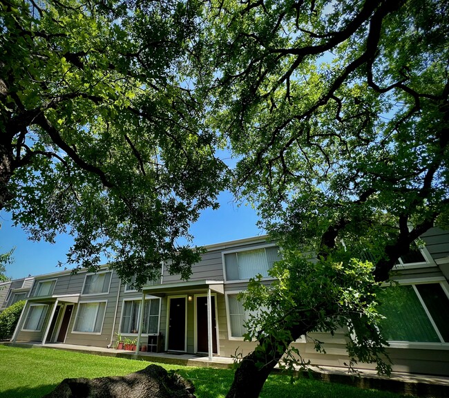 Photo - Treehouse Apartments