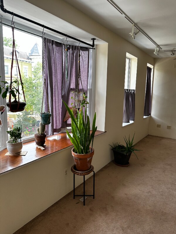 Photo - 1315 Park Rd NW