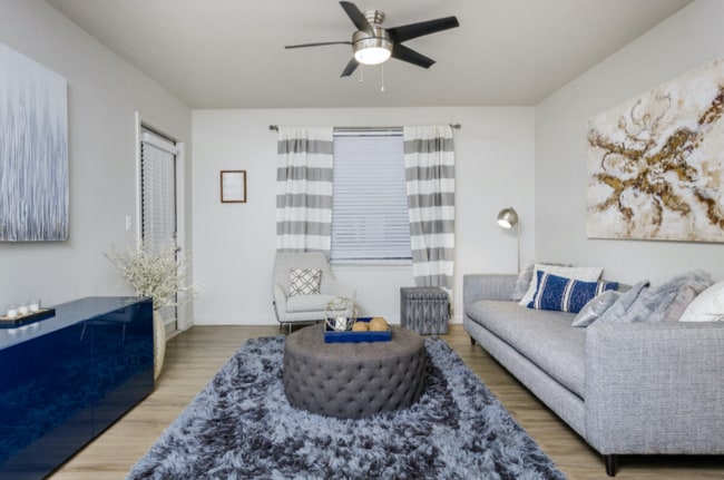 Photo - The Lory of Tallahassee