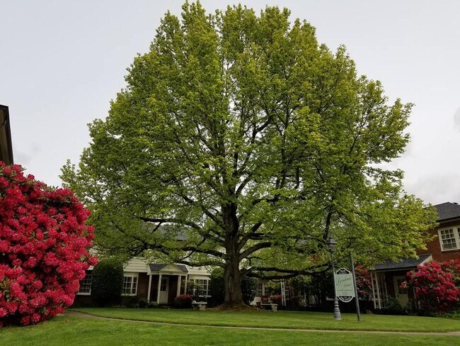 Photo - Broadmoor Manor