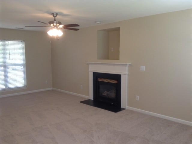 Photo - 1009 Enderbury Dr