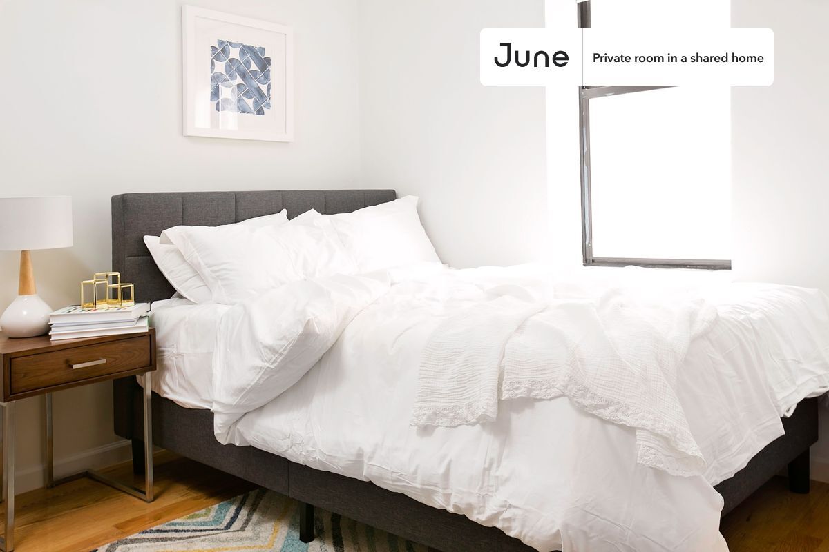 Private bedroom in 4 bed/2 bath Home - Private bedroom in 4 bed/2 bath Home