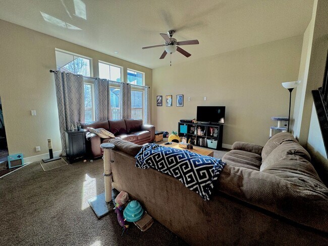 Photo - Spacious Backyard