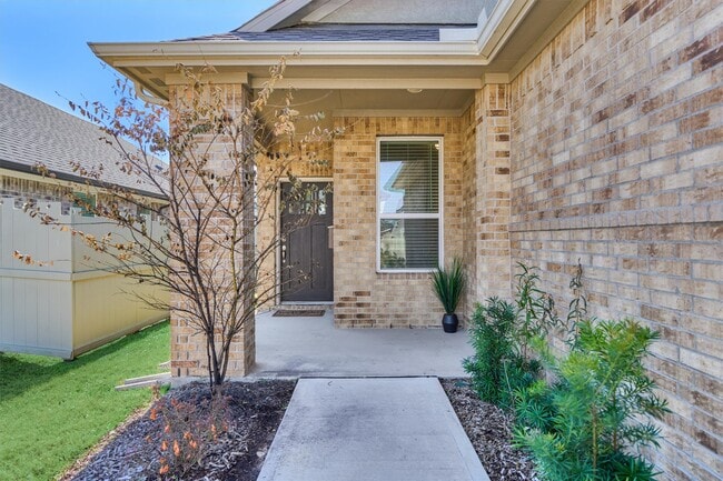 Photo - 9622 Blue Water Hyssop