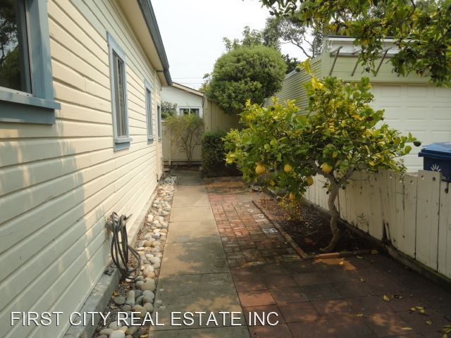 Photo - 2 br, 2 bath House - 311 Lobos Avenue