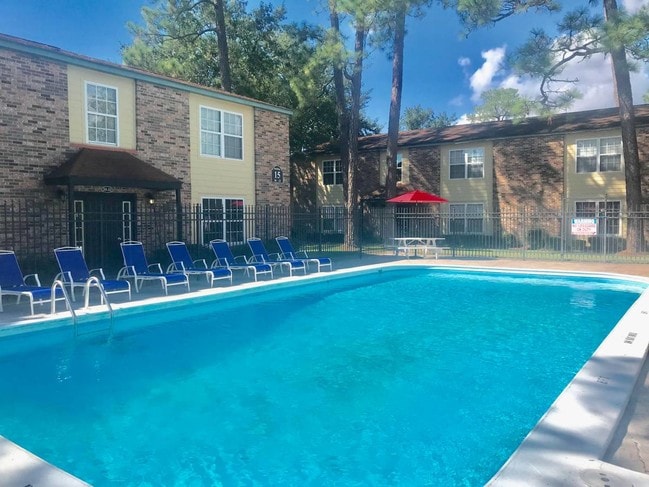 Photo - Patriot on the Trace (FKA Autumn Trace)