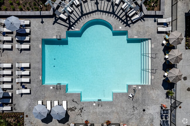 Piscina - The Landon of Cromwell