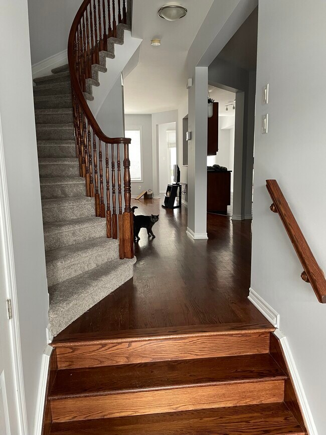 Photo - 52 Evelyn Powers Pvt