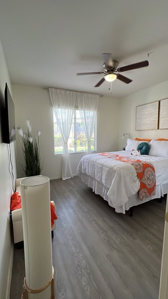 1BR, 1BA, Primary Bedroom