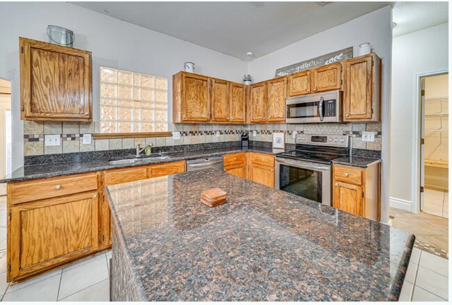 Photo - 10330 Lion Hunt