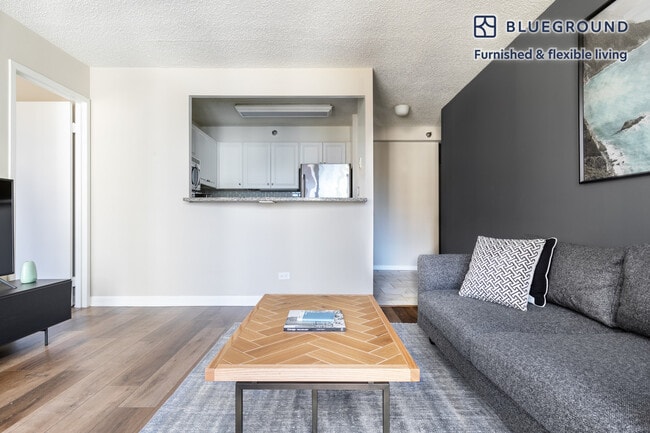 Photo - 750 N Rush St Unidad FL17-ID161