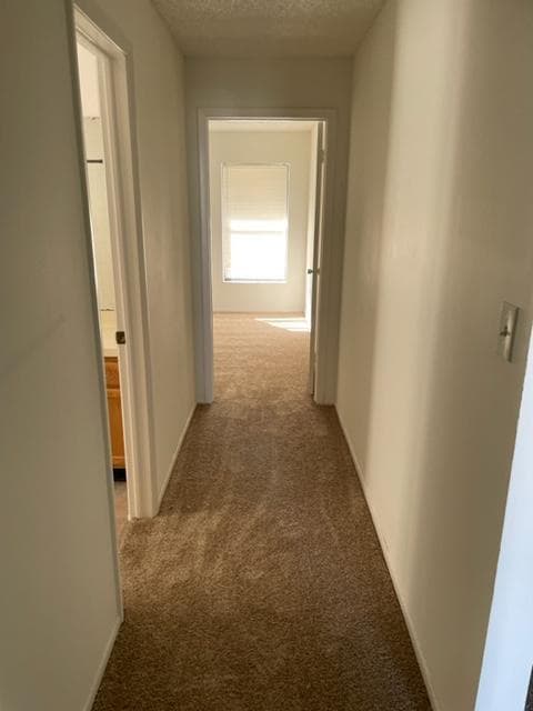 Photo - 1043 Neely St