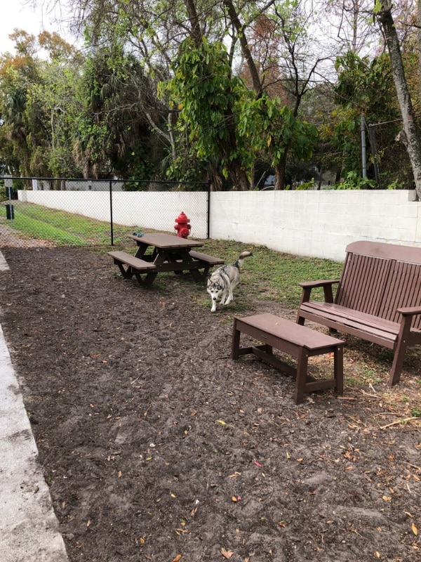 Photo - 115 S Lois Ave Unit 226