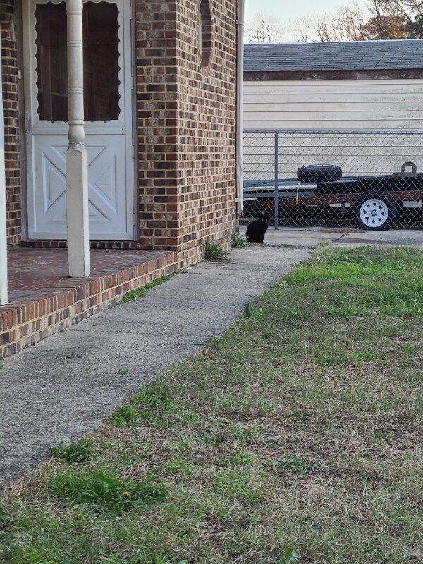 Photo - 8116 Tidal Rd Unit A