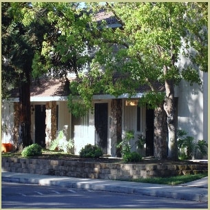 Belmont Park - Belmont Park