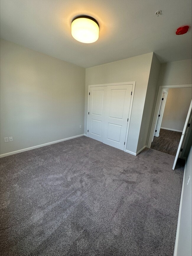 1-bedroom - 135 - 153 Waterman Ave