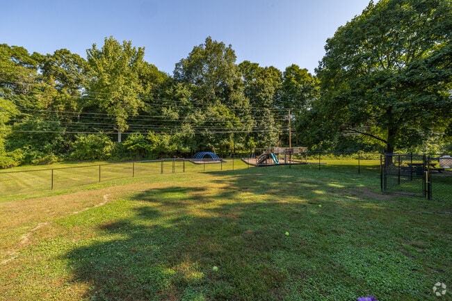 Dog Park