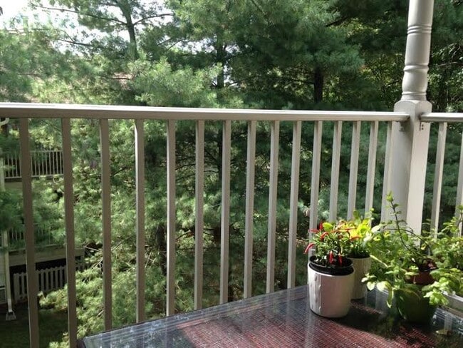 Photo - 3112 Wallaby Trce