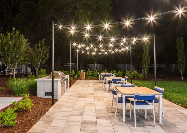 Grilling and Picnic Area