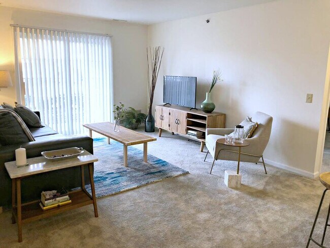 Decorate the Space and Make it Your Own!