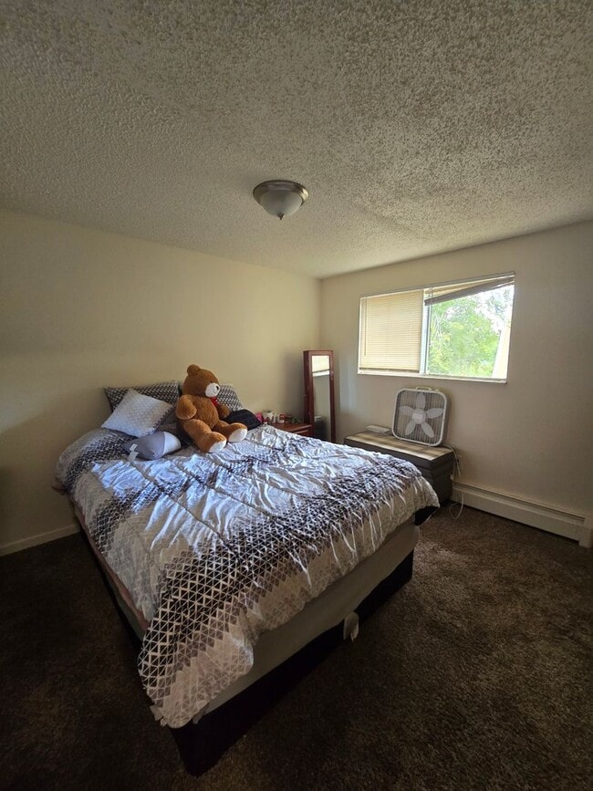 Photo - 2 Bedroom 1.5 Bath in Longmont, CO!