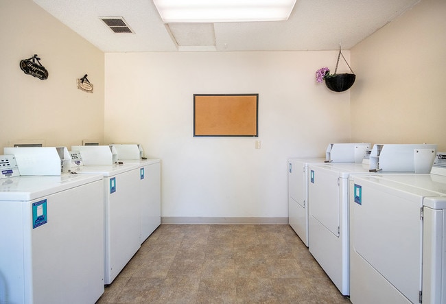 Community Laundry Area