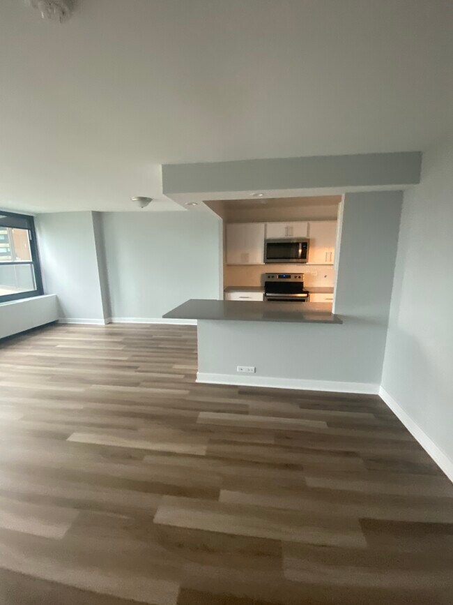 1160 S Michigan Ave Unit 3601