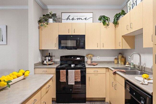 Artisan Apartments & Shops in Austin Texas
