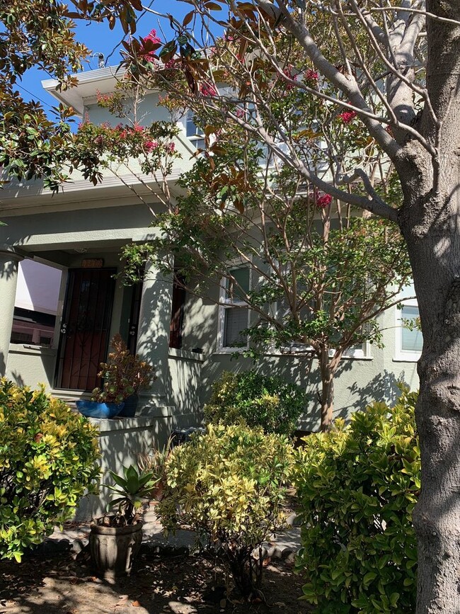 Photo - Great Upper Unit Unit 1519