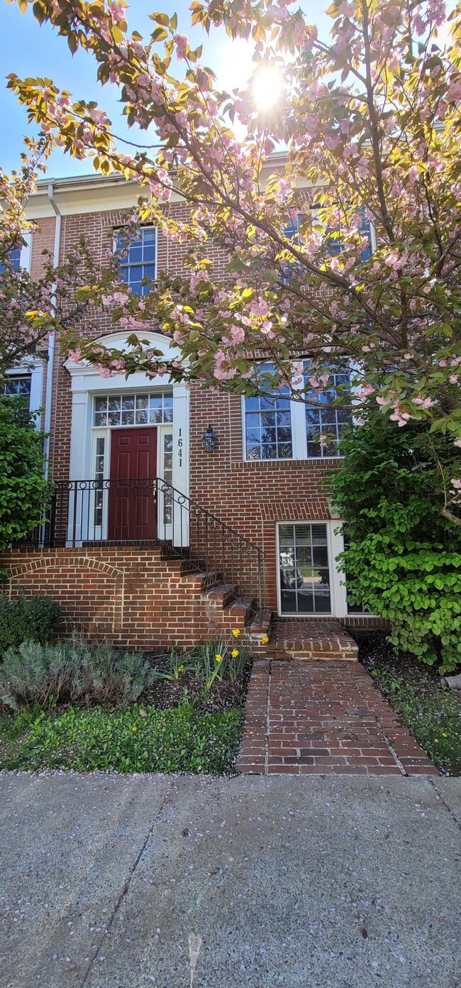 Building Photo - 1641 Piccard Dr