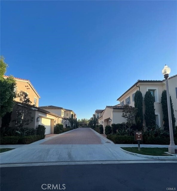 Photo - 146 Stallion