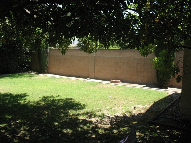 Backyard - Partial - 3121 W Wyoming Ave