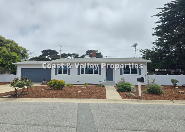 1117 Surf Ave