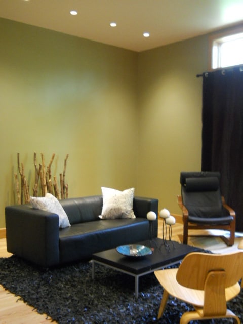 living room - 5047 Hazel Ave Unit 4 Br Eco-House