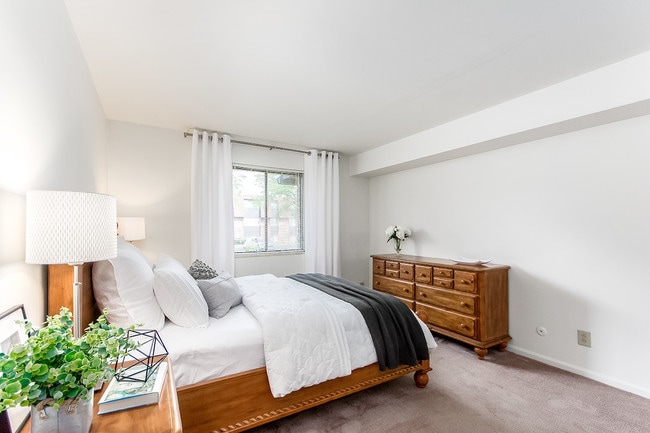 Photo - Colony Club Apartments