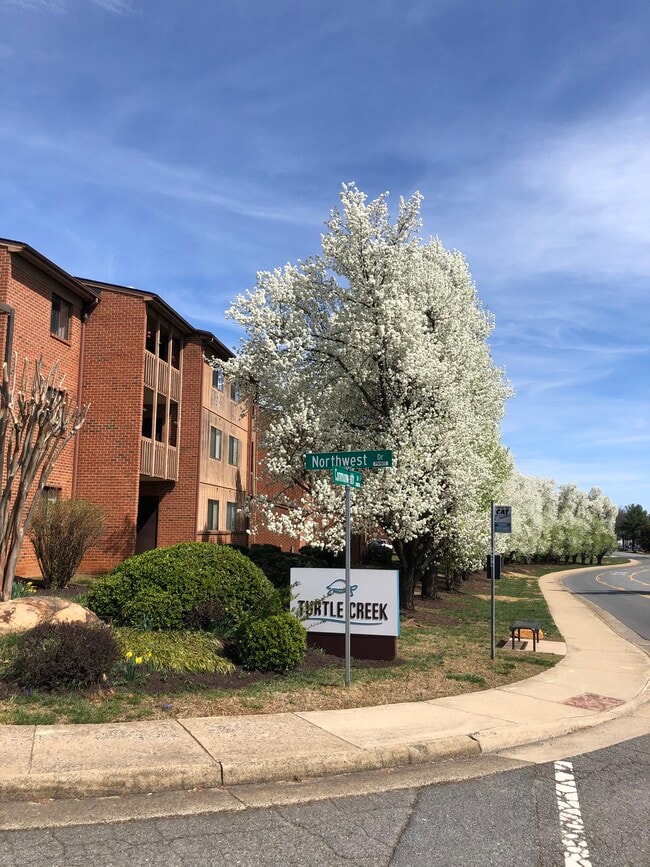 Building Photo - 138 Green Turtle Ln Unit #4