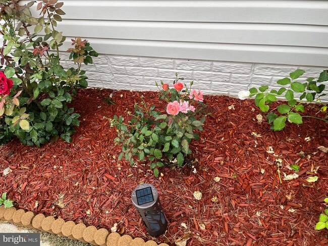 Building Photo - 113 Hotchkiss St