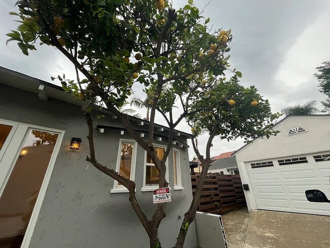 Photo - 1334 Park Ave