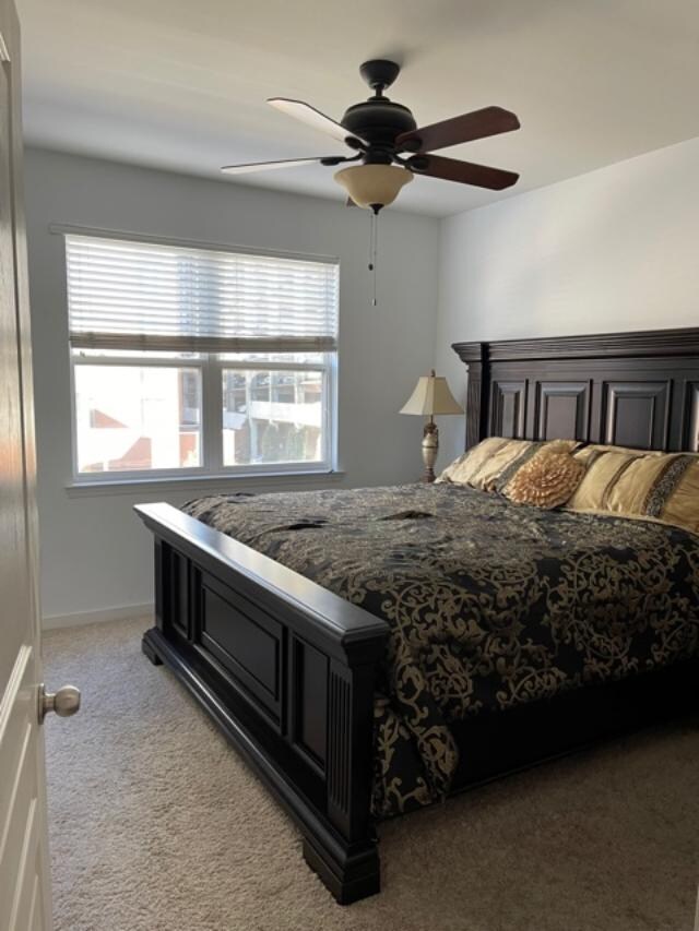 Suite#2-Bed - 401 20th St S Unit Bristol  #312