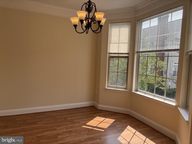 21156 Domain Terrace