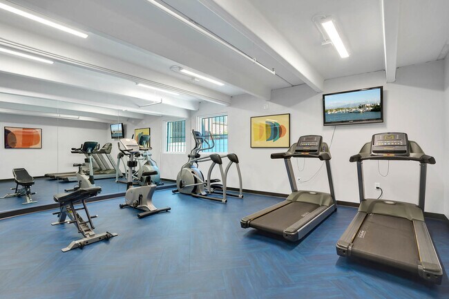 Photo - Liv on Steele