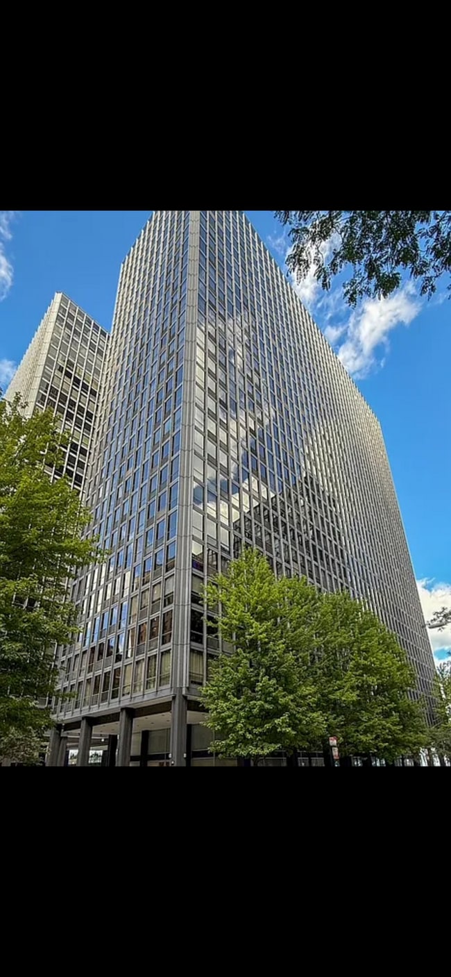 Building Photo - 900 N Lake Shore Dr Unit 411 Rental