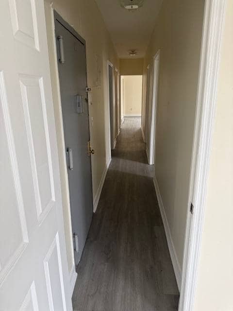 Photo - 42 Purser Pl