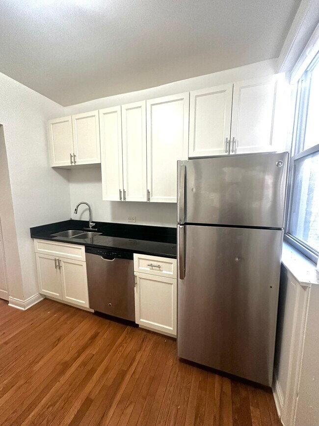 1159 W Lunt unit - 2 bed
