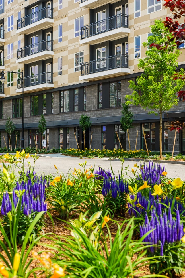 Boston College OffCampus Housing Search